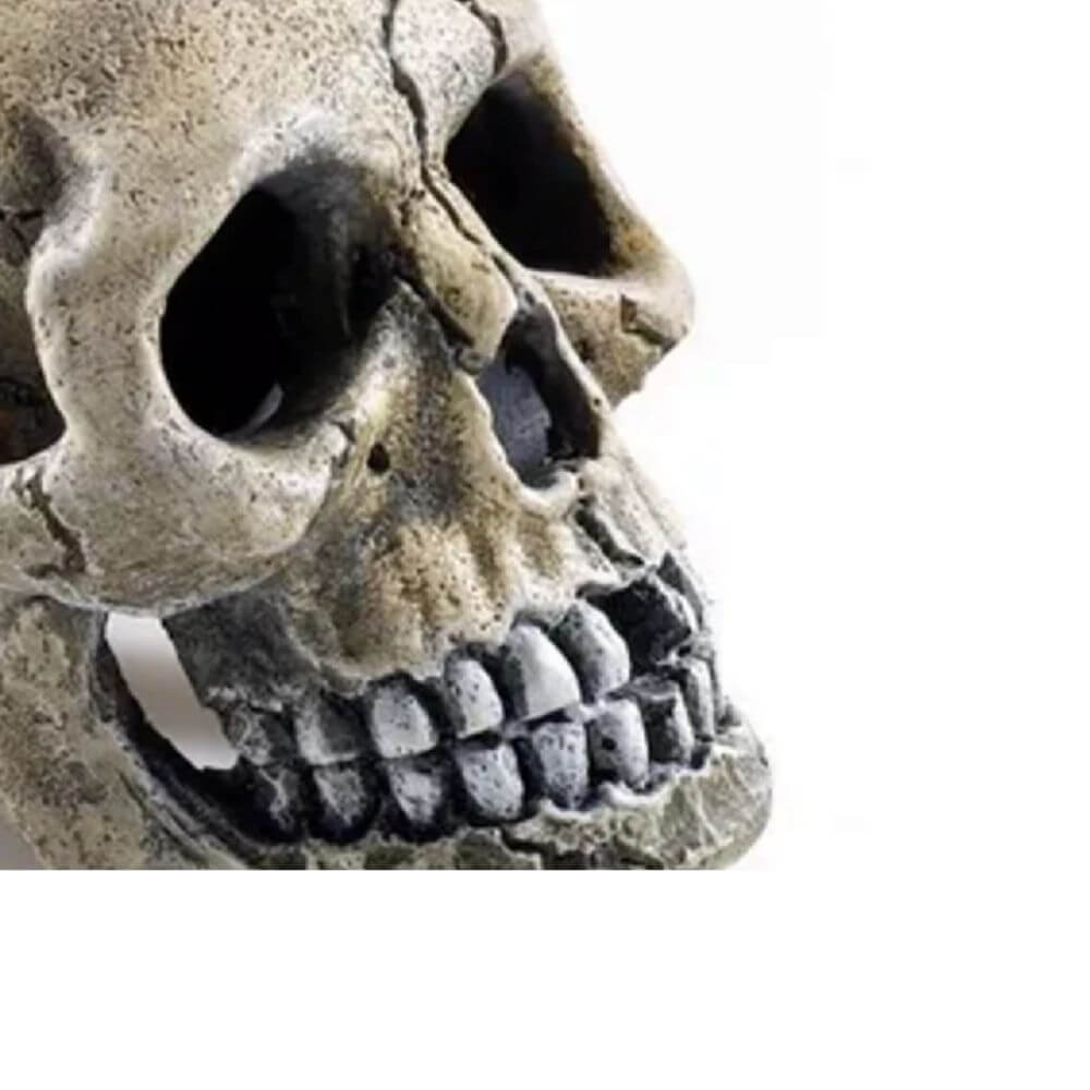 Classic Spooky Skull