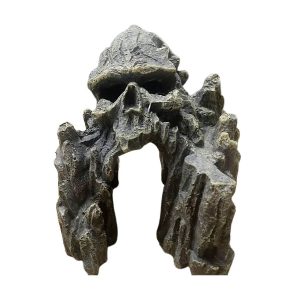 Cheeko Skull Kingdom