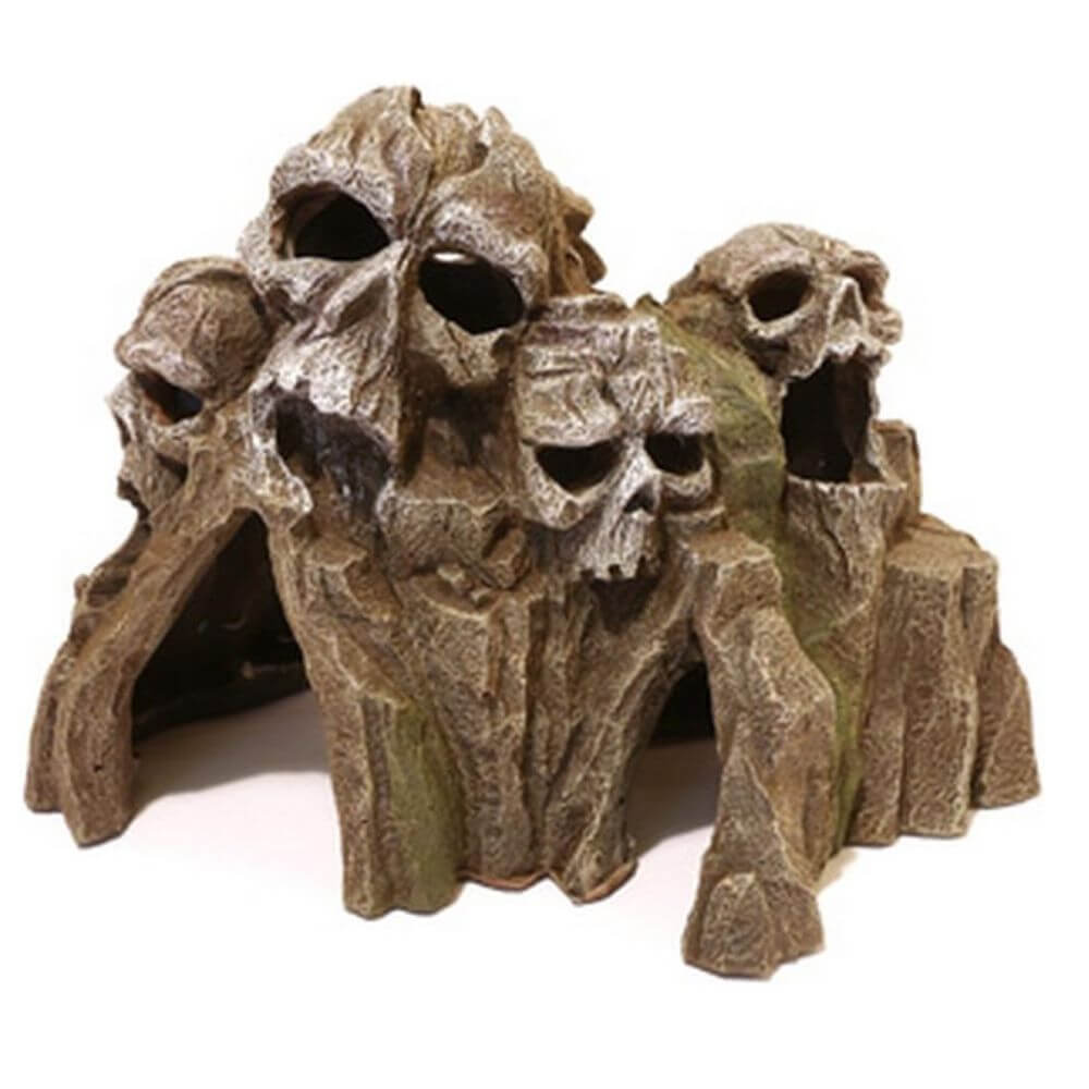 Rosewood Skull Mountain Medium