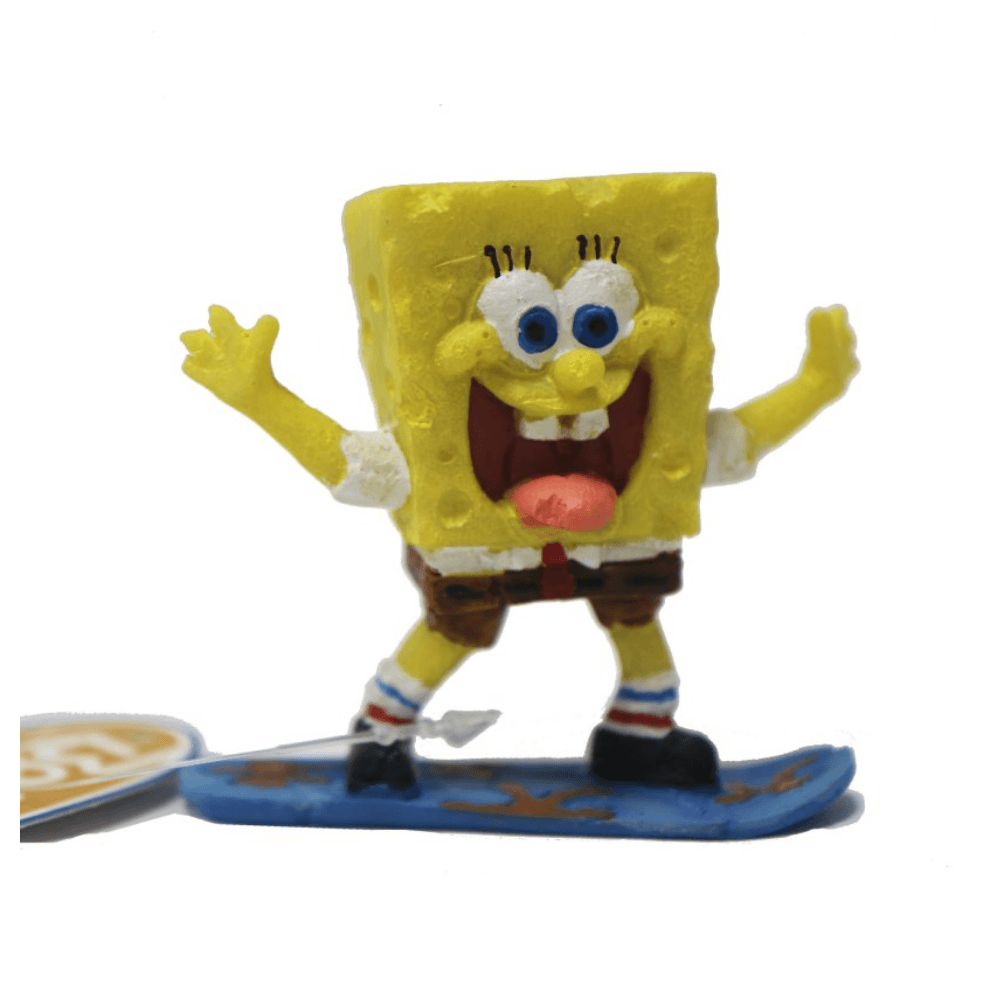 Surfing Foamy Bob
