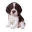 Vivid Arts Pet Pals Springer Spaniel Pup