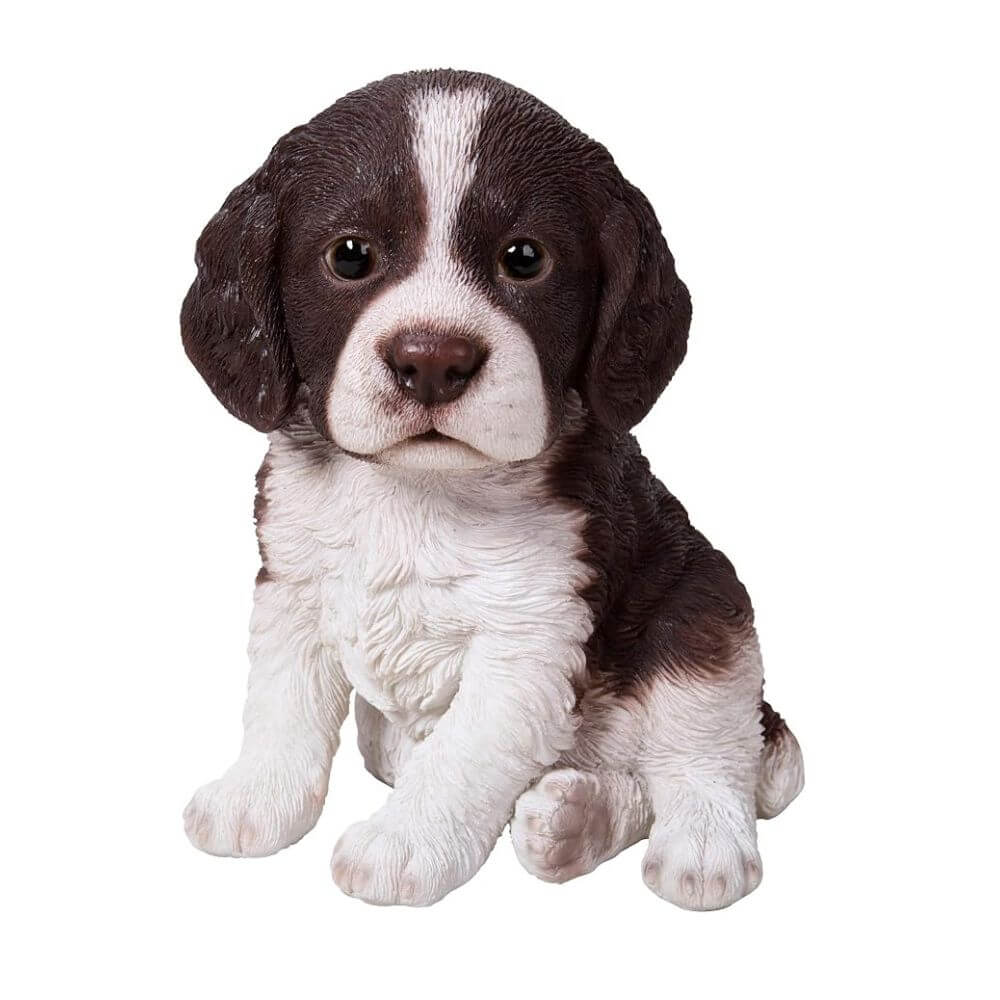 Vivid Arts Pet Pals Springer Spaniel Pup
