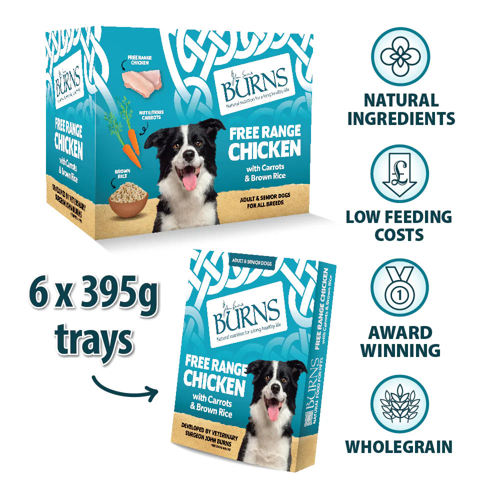 Burns Free Range Chicken dog food packaging with product details on a white background