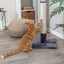 Trixie Batres Scratching Post 62cm Platinum Grey