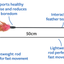 Trixie | Cat Toy Playing Rod With Feathers | 50cm Interactive Teaser Wand