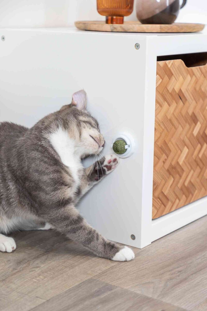 Trixie | Catnip Ball with Holder | Fun SelfAdhesive Cat Toy | 5cm