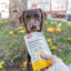 Trixie Cheese Triangles with Fruit & Vegetables 80g – Soft Gluten‑Free Dog Training Treats