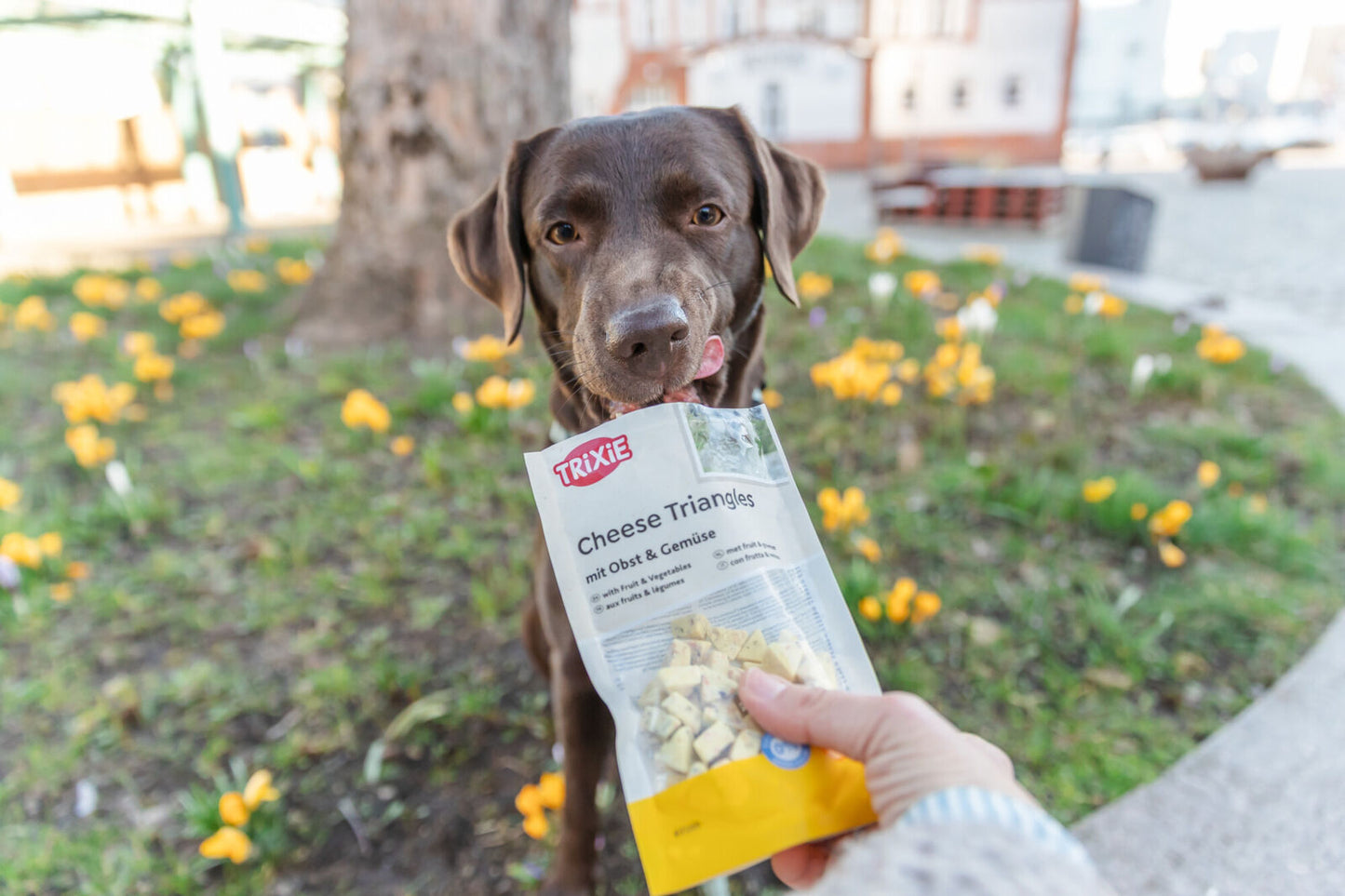 Trixie Cheese Triangles with Fruit & Vegetables 80g – Soft Gluten‑Free Dog Training Treats