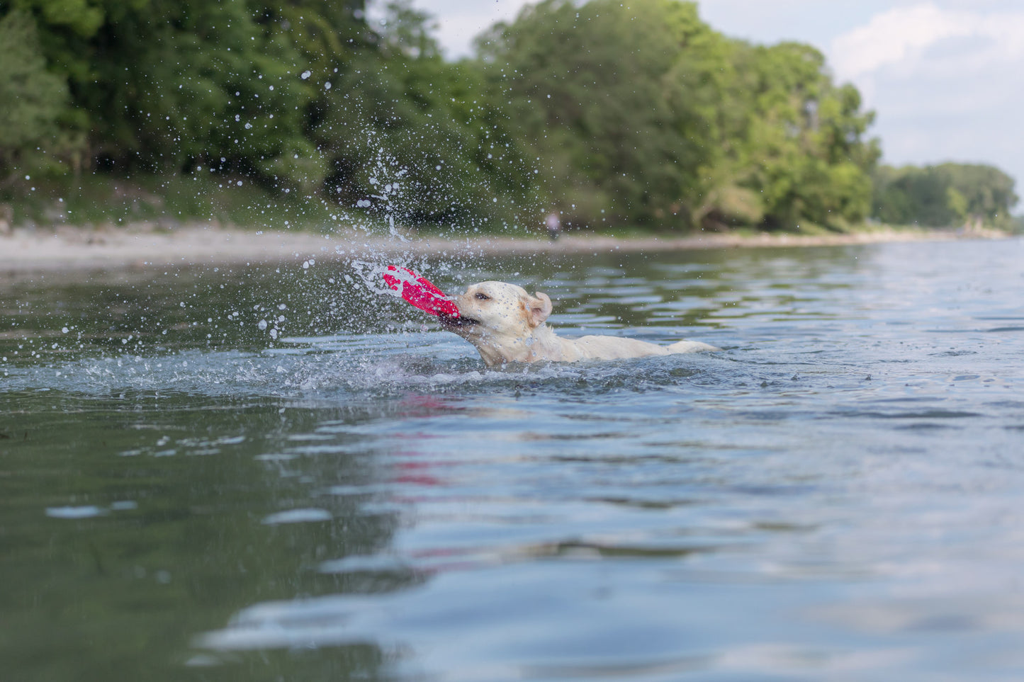 Trixie | Dog Activity & Sports Toy | Disc TPR Floatable Frisbee Roller