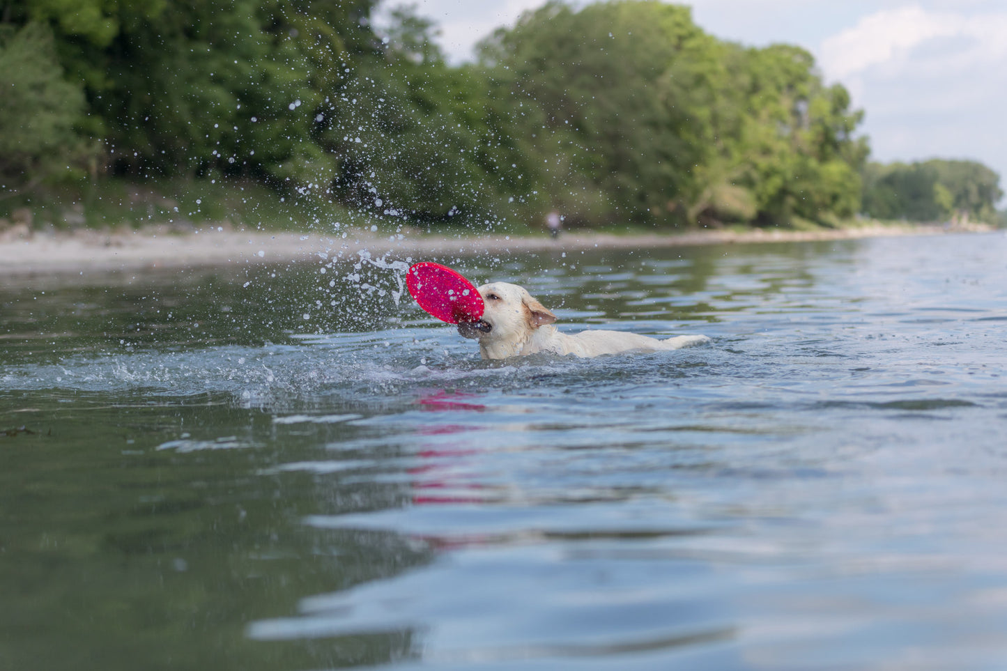 Trixie | Dog Activity & Sports Toy | Disc TPR Floatable Frisbee Roller