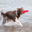 Trixie | Dog Activity & Sports Toy | Disc TPR Floatable Frisbee Roller