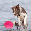 Trixie | Dog Activity & Sports Toy | Disc TPR Floatable Frisbee Roller