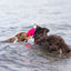 Trixie | Dog Activity & Sports Toy | Disc TPR Floatable Frisbee Roller