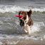 Trixie | Dog Activity & Sports Toy | Disc TPR Floatable Frisbee Roller