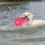 Trixie | Dog Activity & Sports Toy | Disc TPR Floatable Frisbee Roller