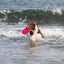 Trixie | Dog Activity & Sports Toy | Disc TPR Floatable Frisbee Roller