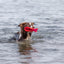Trixie | Dog Activity & Sports Toy | Disc TPR Floatable Frisbee Roller