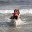 Trixie | Dog Activity & Sports Toy | Disc TPR Floatable Frisbee Roller