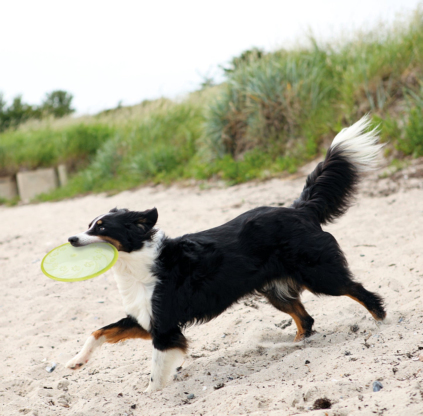 Trixie | Dog Activity & Sports Toy | Disc TPR Floatable Frisbee Roller
