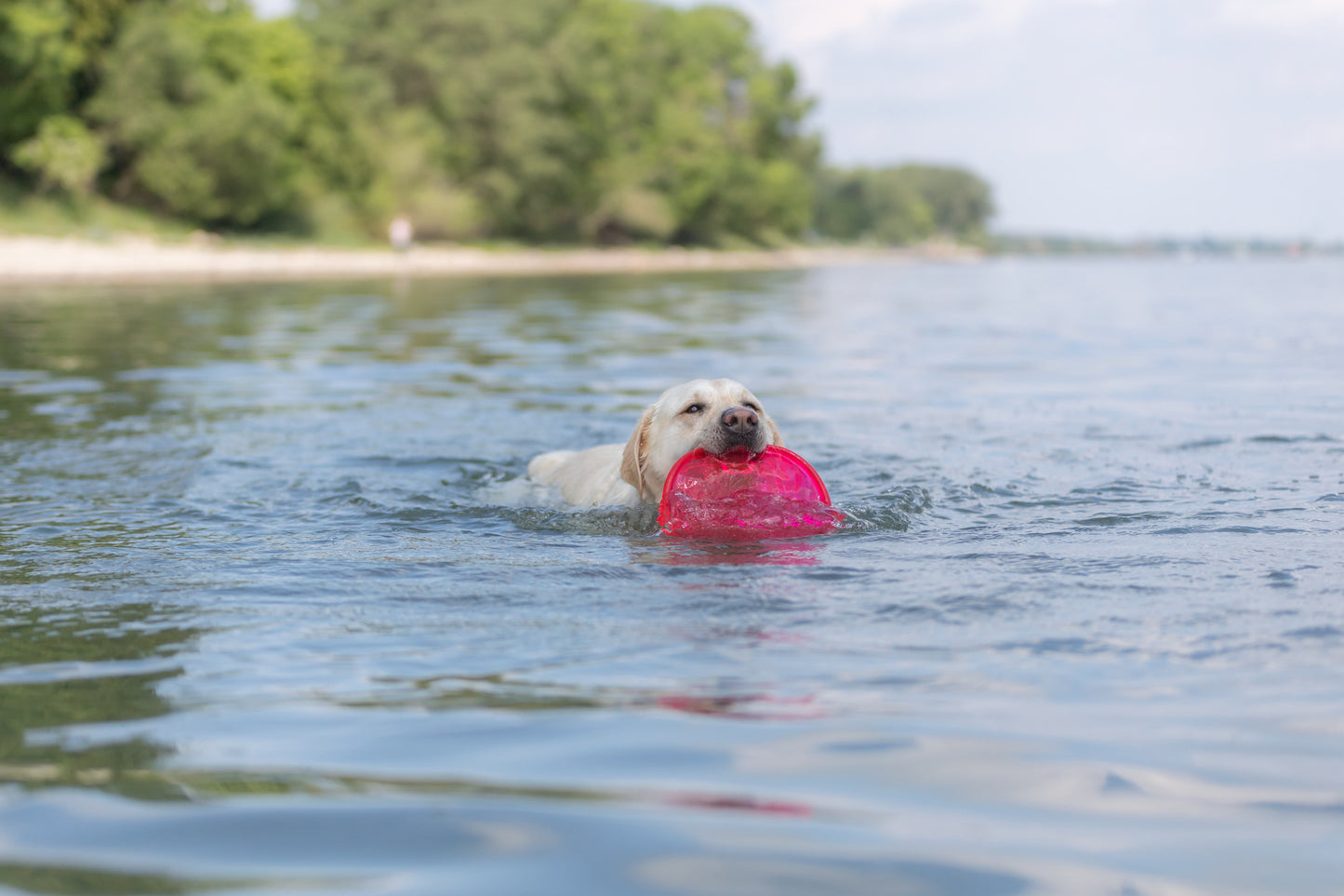Trixie | Dog Activity & Sports Toy | Disc TPR Floatable Frisbee Roller