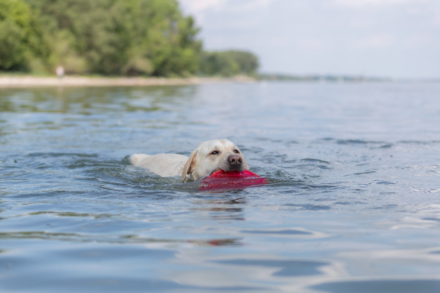 Trixie | Dog Activity & Sports Toy | Disc TPR Floatable Frisbee Roller