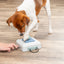 Trixie | Dog Activity Gamble Box | Interactive Strategy Puzzle Toy for Mental Enrichment