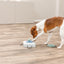 Trixie | Dog Activity Gamble Box | Interactive Strategy Puzzle Toy for Mental Enrichment