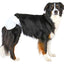 Trixie | Incontinence Care | Female Dog Nappy Diapers - 12 Pack