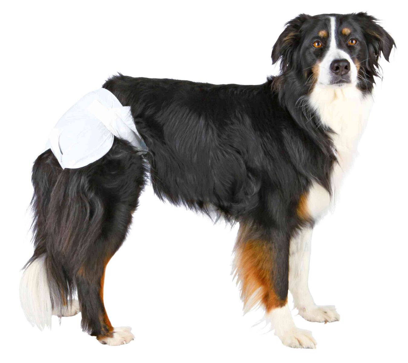 Trixie | Incontinence Care | Female Dog Nappy Diapers - 12 Pack