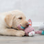 Trixie | Junior Bunny Plush & Chewy with Squeak | Puppy Toy