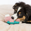 Trixie | Junior Bunny | Plush Squeaky Puppy Toy