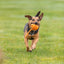Trixie | Latex Animal Ball With Tail | Dog Toy