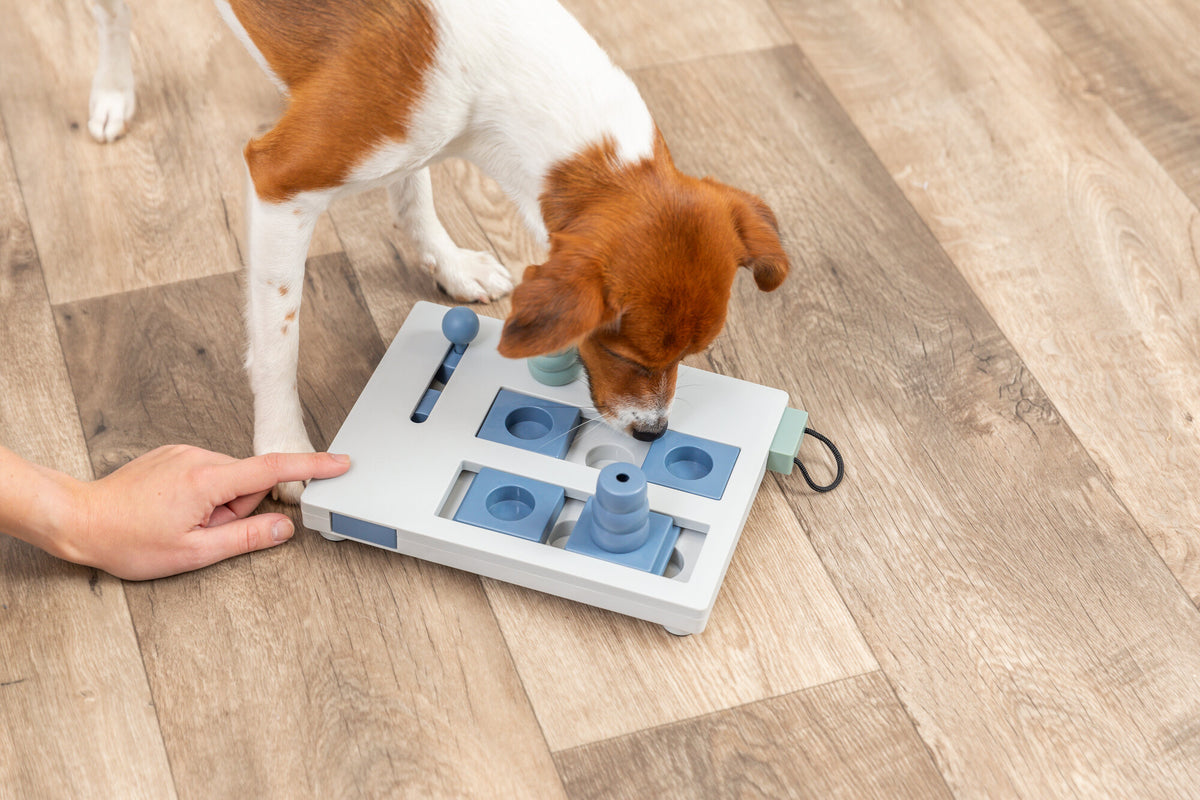 Trixie Mini Mover (Level 3) Strategy Game Dog Puzzle
