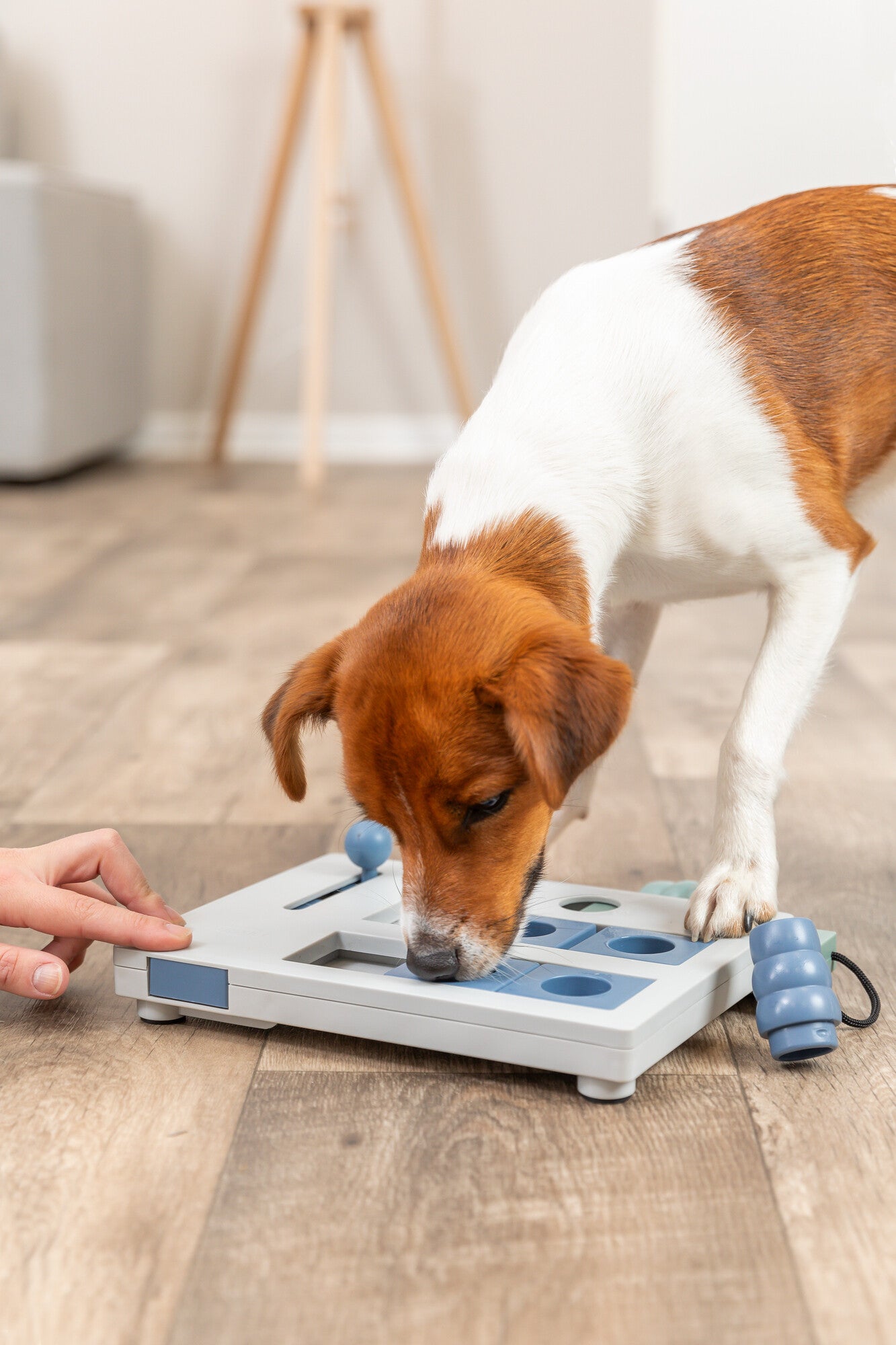 Trixie Mini Mover (Level 3) Strategy Game Dog Puzzle