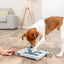 Trixie Mini Mover (Level 3) Strategy Game Dog Puzzle