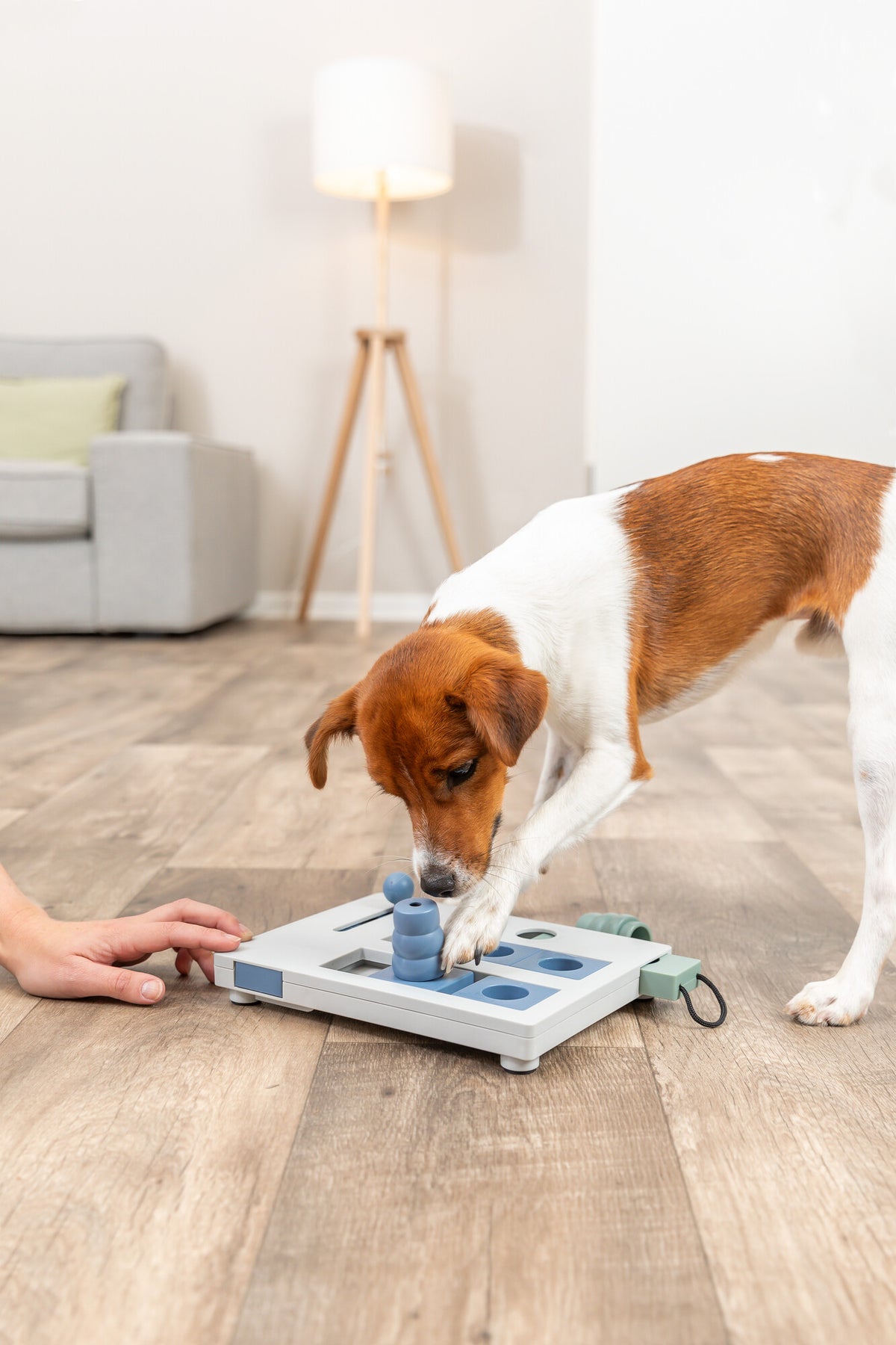 Trixie Mini Mover (Level 3) Strategy Game Dog Puzzle