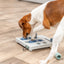 Trixie Mini Mover (Level 3) Strategy Game Dog Puzzle