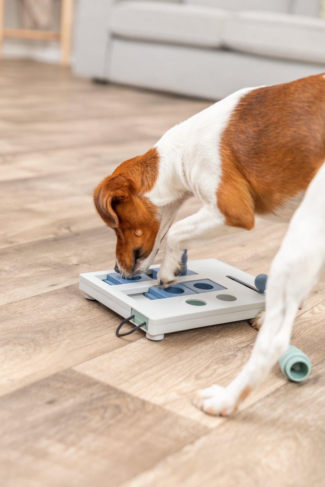 Trixie Mini Mover (Level 3) Strategy Game Dog Puzzle