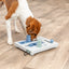 Trixie Mini Mover (Level 3) Strategy Game Dog Puzzle