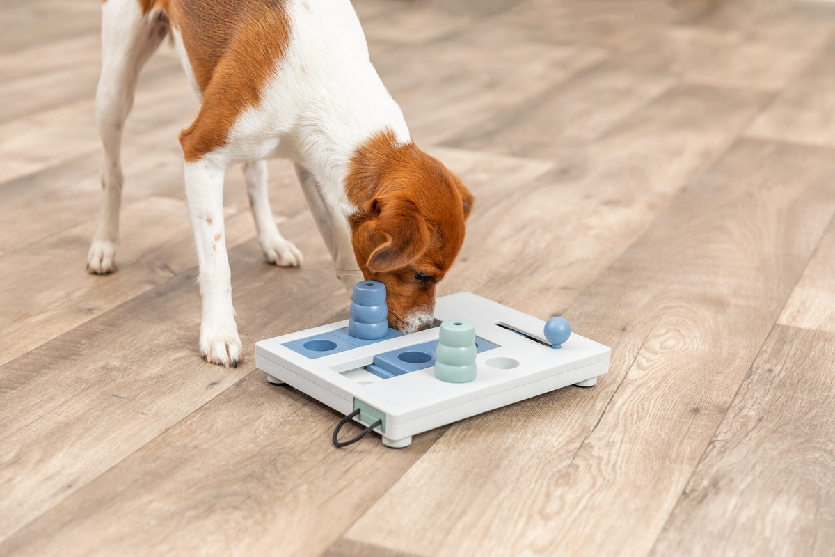 Trixie Mini Mover (Level 3) Strategy Game Dog Puzzle