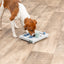Trixie Mini Mover (Level 3) Strategy Game Dog Puzzle
