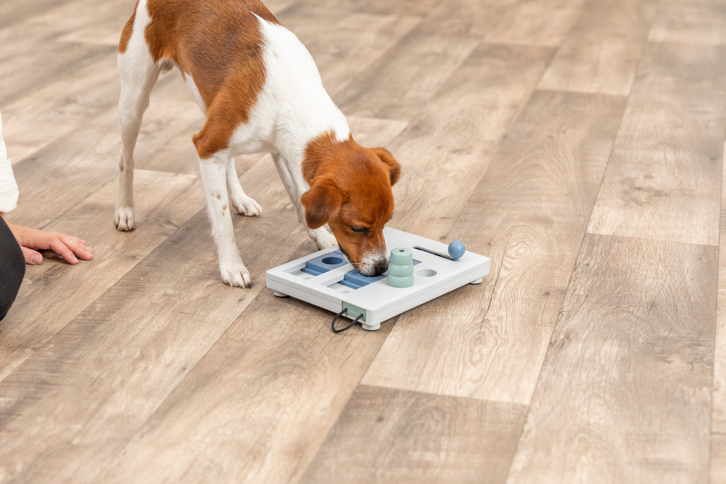 Trixie Mini Mover (Level 3) Strategy Game Dog Puzzle