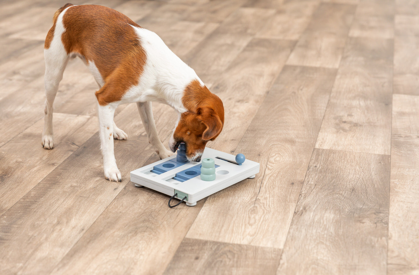 Trixie Mini Mover (Level 3) Strategy Game Dog Puzzle