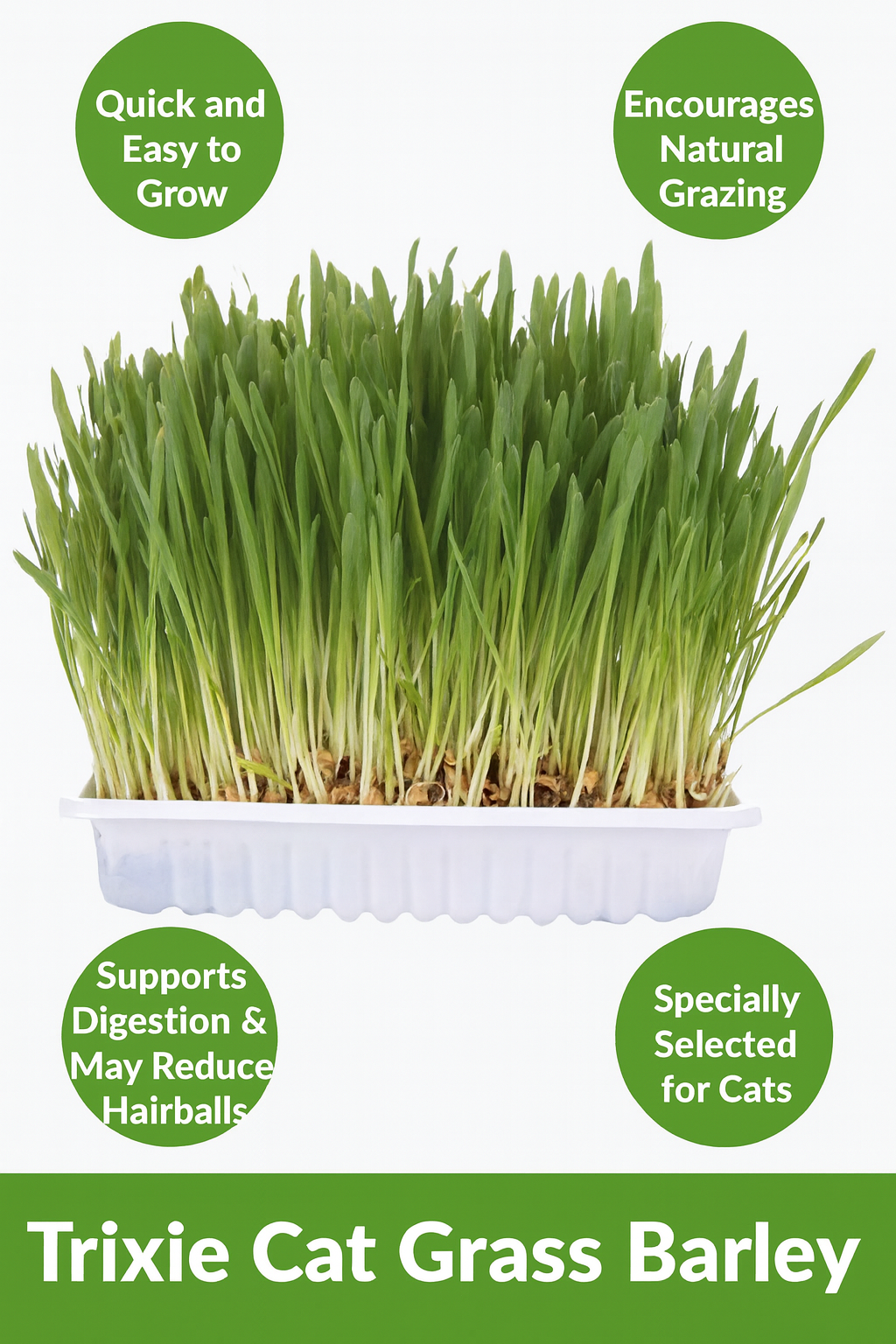 Trixie | Natural Cat Enrichment | Grass & Barley Seed Bowl - 100g