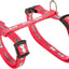 Trixie | Small Pet Enrichment | Nylon Rabbit Harness with Lead