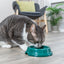 Trixie | Plastic Cat Bowl | 11cm | NonSlip Feeding Dish | Black, Green and Pink Options Available