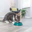 Trixie | Plastic Cat Bowl | 11cm | NonSlip Feeding Dish | Black, Green and Pink Options Available