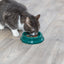 Trixie | Plastic Cat Bowl | 11cm | NonSlip Feeding Dish | Black, Green and Pink Options Available