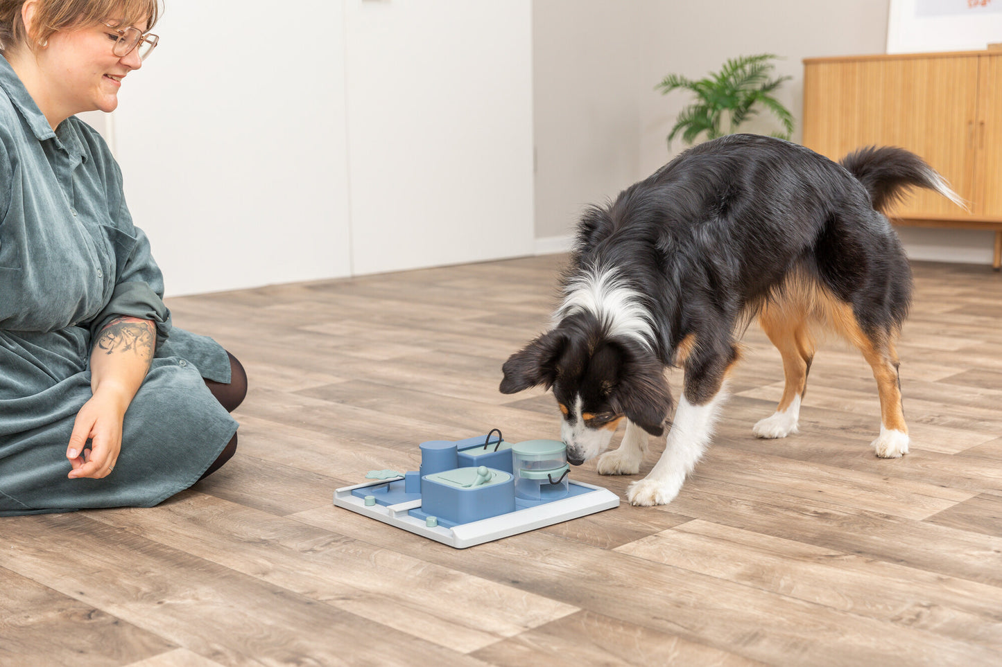 Trixie | Dog Activity Poker Box (Level 2) | Interactive Strategy Puzzle Game for Mental Enrichment oy Strategy Game