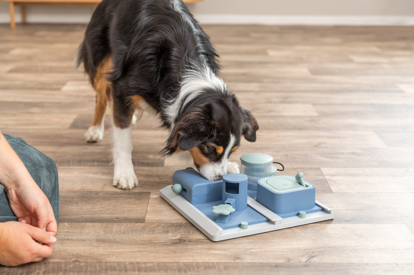 Trixie | Dog Activity Poker Box (Level 2) | Interactive Strategy Puzzle Game for Mental Enrichment oy Strategy Game